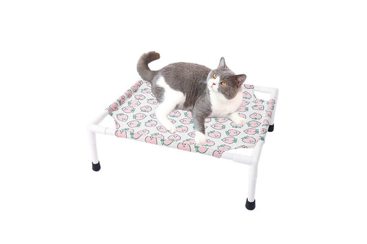 Indoor Outdoor Waterproof Pet Bed Portable Raised Pet Cot For Small Medium Dogs Cats-Style 5