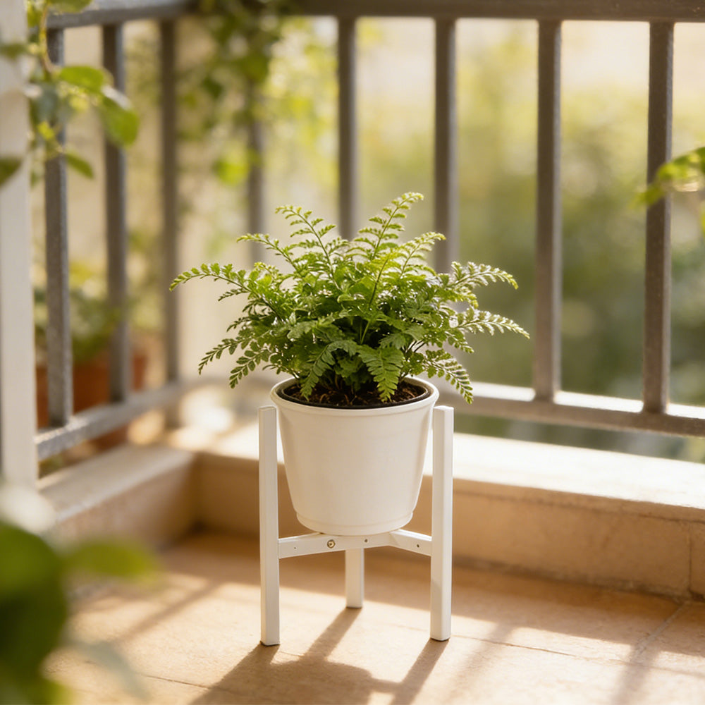 Plant Stand Indoor Adjustable Metal Heavy Duty Plant Stands Fits 23-32cm Pots-White