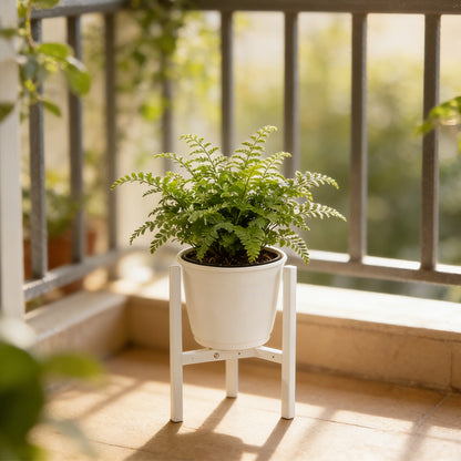 Plant Stand Indoor Adjustable Metal Heavy Duty Plant Stands Fits 23-32cm Pots-White