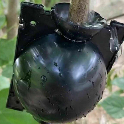 10PCS Plant Rooting Balls High-Pressure Propagation Grafting Boxes for Indoor & Outdoor Plants