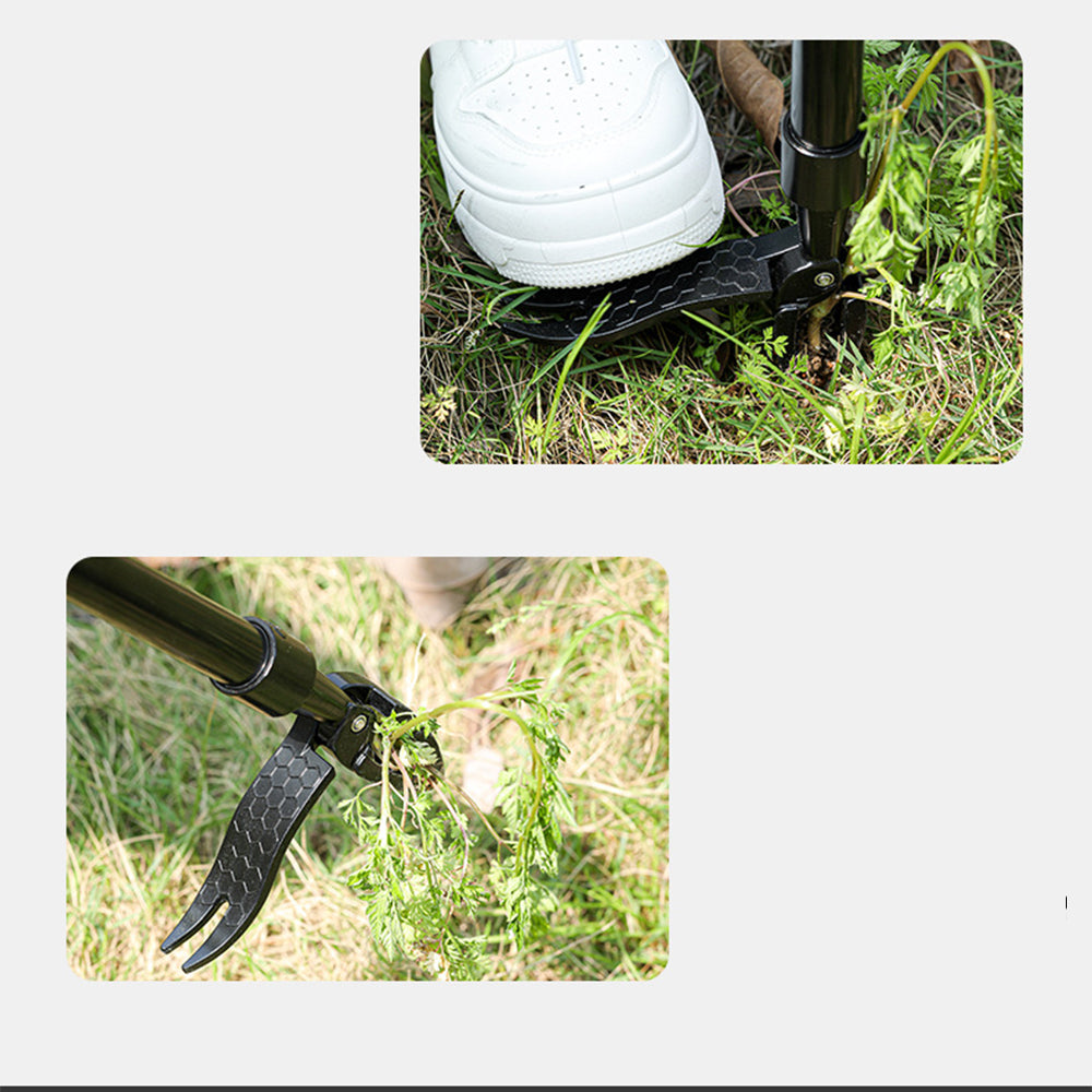 Stand Up Weed Puller Tool  Metal Manual Weed Remover for Garden Lawn Without Bending