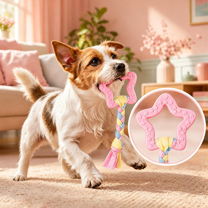 4Pcs Retractable Phone Tether with Carabiner-Pink
