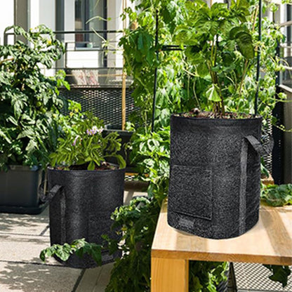 2Pcs 15 Gallon Potato Grow Bags with Dual Harvest Window Visible Window Non-Woven Planter Pot