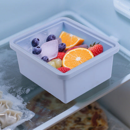 2Pcs Silicone Freezer Trays with Lid Soup Freezer Container Microwave Dishwasher Safe-Blue