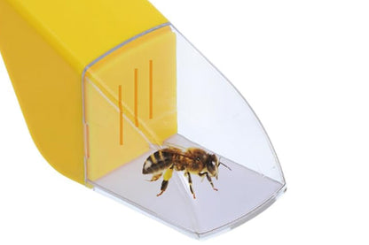 2Pcs Bug Catcher for Little Ones Bug trap Kit for Butterflies Bees-Blue and Yellow