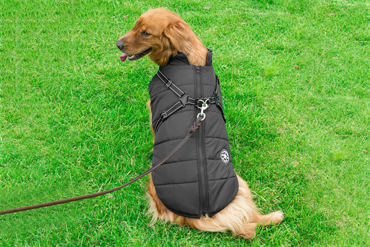 Dog Coat With Harness Winter Waterproof Reflective Warm Dog Coat-Black