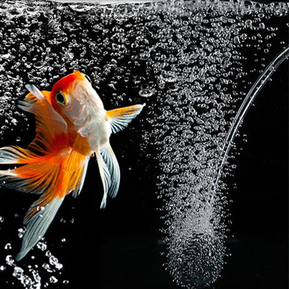 Solar Oxygenator Aquarium Oxygen Aerator Air Pump Fishing Aerator with Pipe for Garden Fish Tank Outdoor Pool Pond