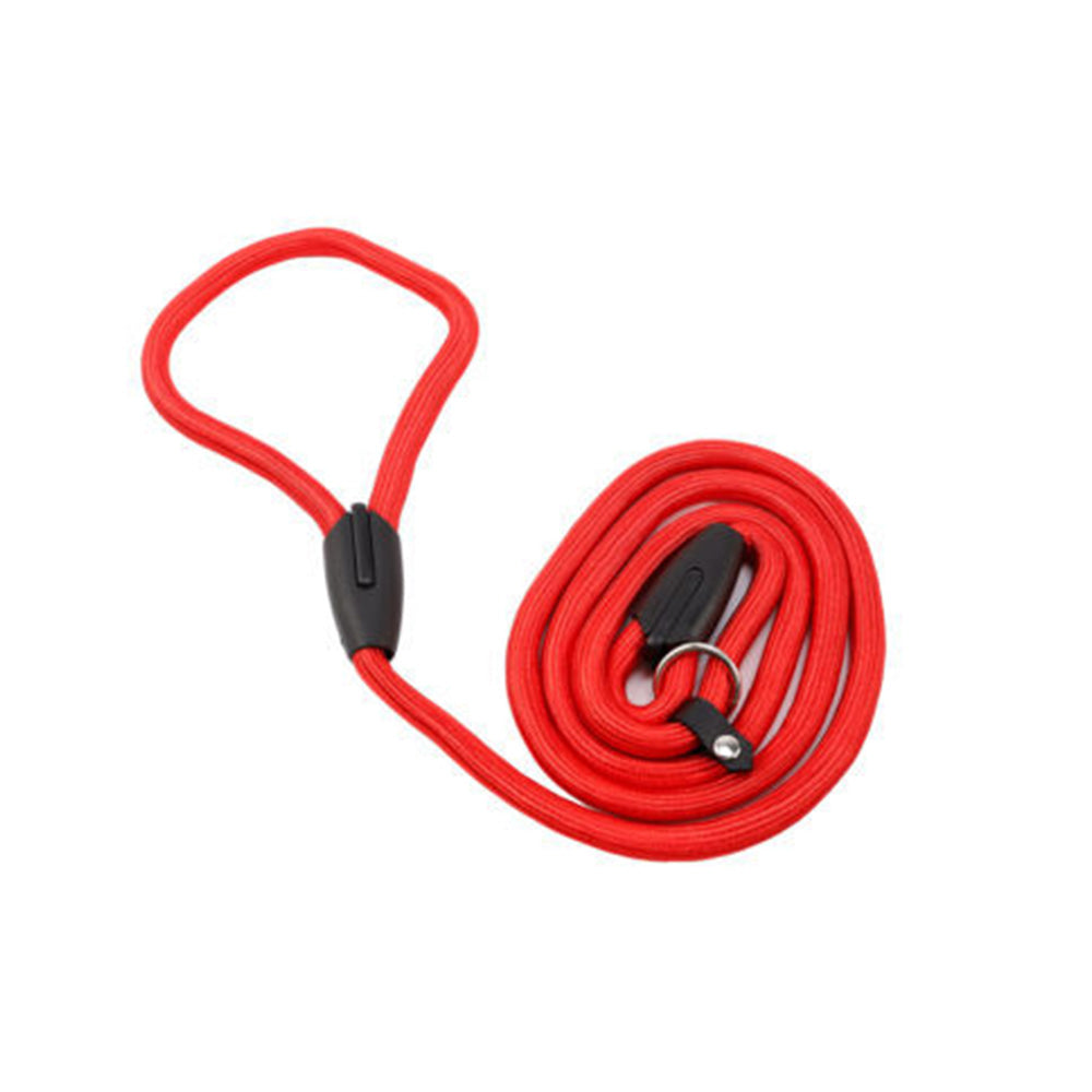 2 Pack 140cm Nylon Slip Lead Dog Leash P Chain Pet Training Rope Red