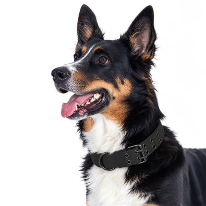 Adjustable Padded Nylon Dog Collar and Leash Set for Large Dogs - Black