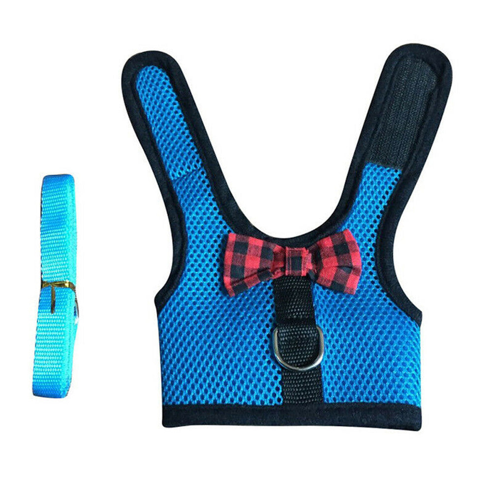 Rabbit Harness and Leash Set for Bunny-Blue