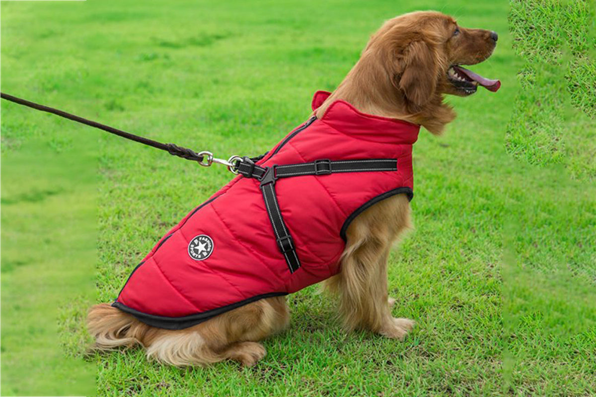 Dog Coat With Harness Winter Waterproof Reflective Warm Dog Coat-Red