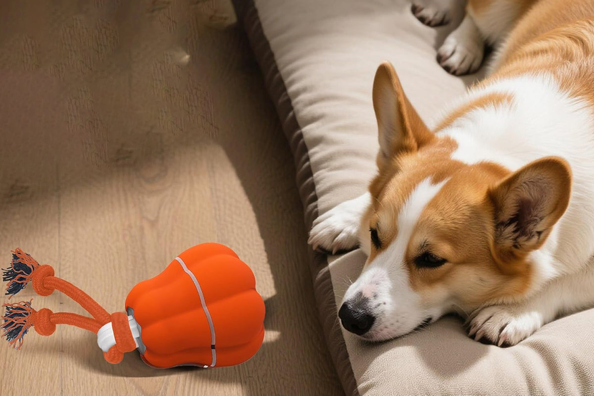 Interactive Dog Toy Ball Dog Rolling Ball with Motion Activated Moving Puppy Toy-Pumpkin