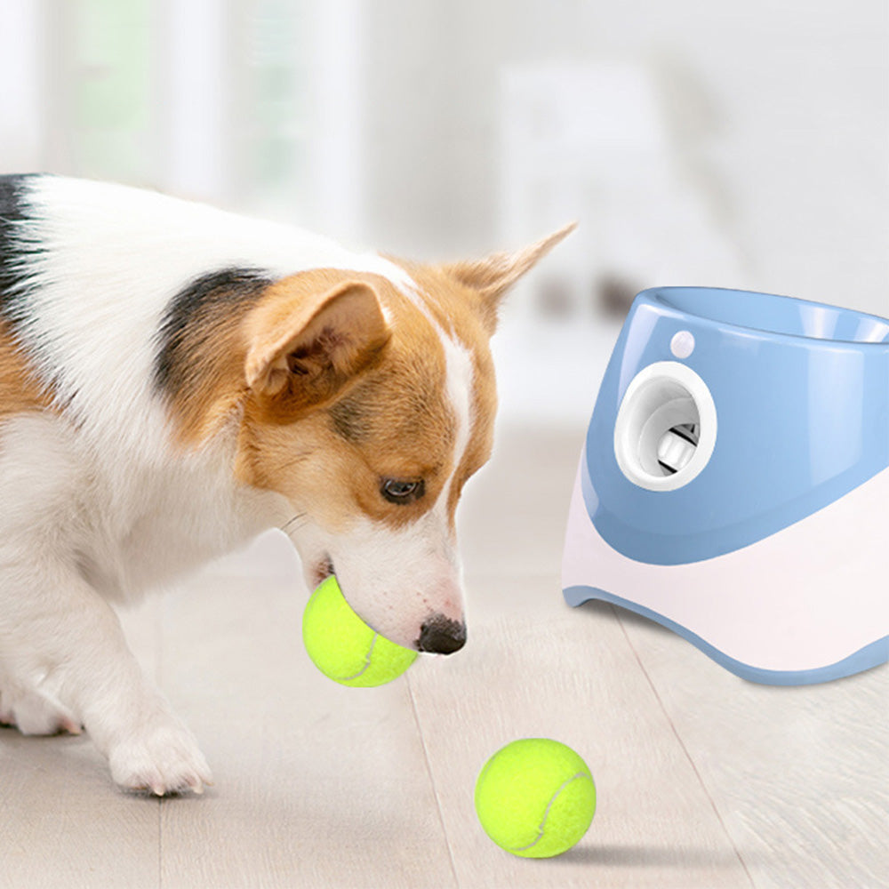 Automatic Dog Tennis Ball Launcher with 3 Balls - Blue