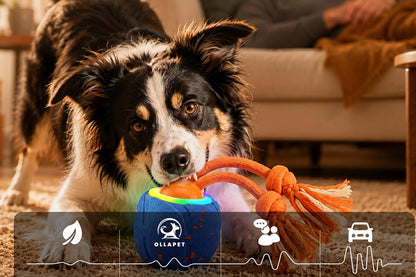 TPU Interactive Dog Ball with 3 Motion Modes Herding Ball for Dogs - Blue
