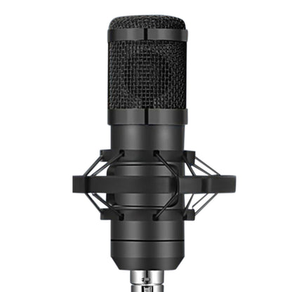 Recording Condenser Microphone Kit with Sound Card for Streaming YouTube TikTok -Black
