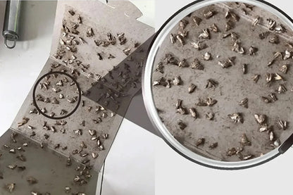 8Pcs Moth Traps Pheromone Glue Boards for Clothes Pantry Moths