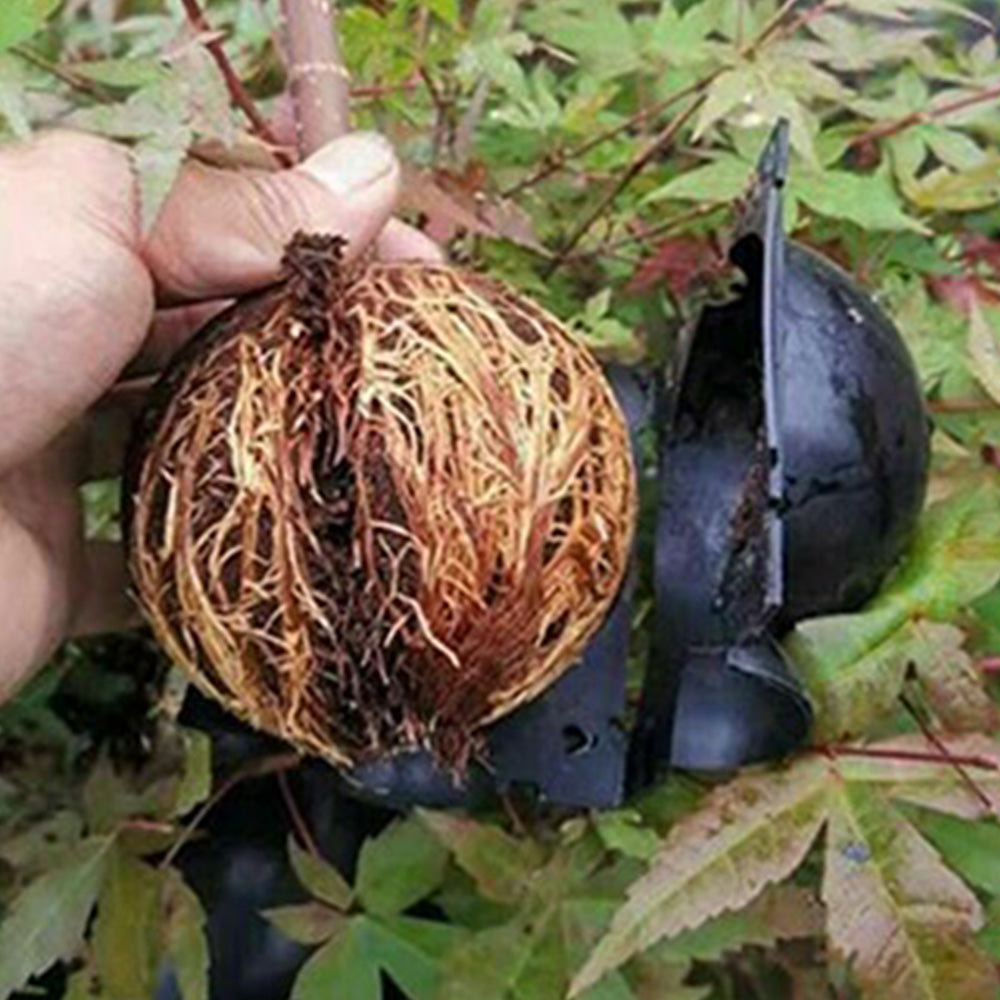 10PCS Plant Rooting Balls High-Pressure Propagation Grafting Boxes for Indoor & Outdoor Plants