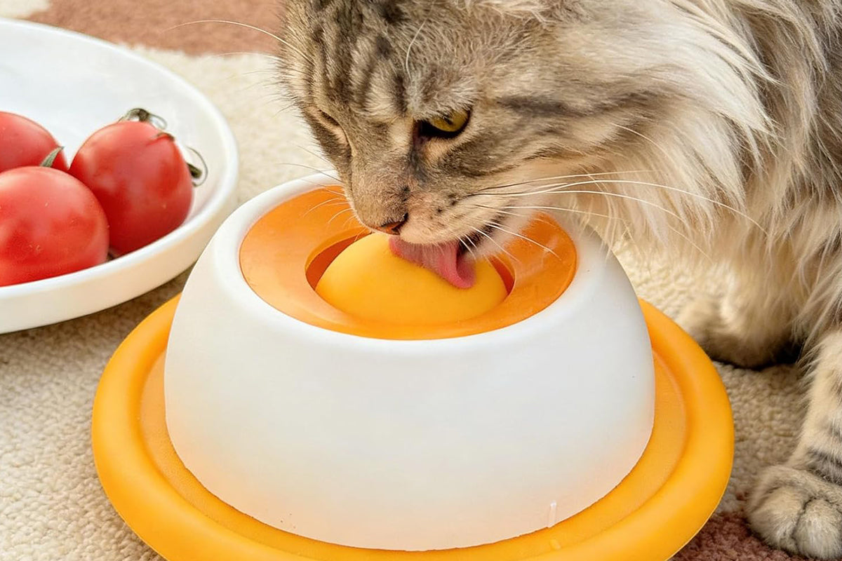 Dog Licking Bowl Slow Feeder Bowls - Yellow
