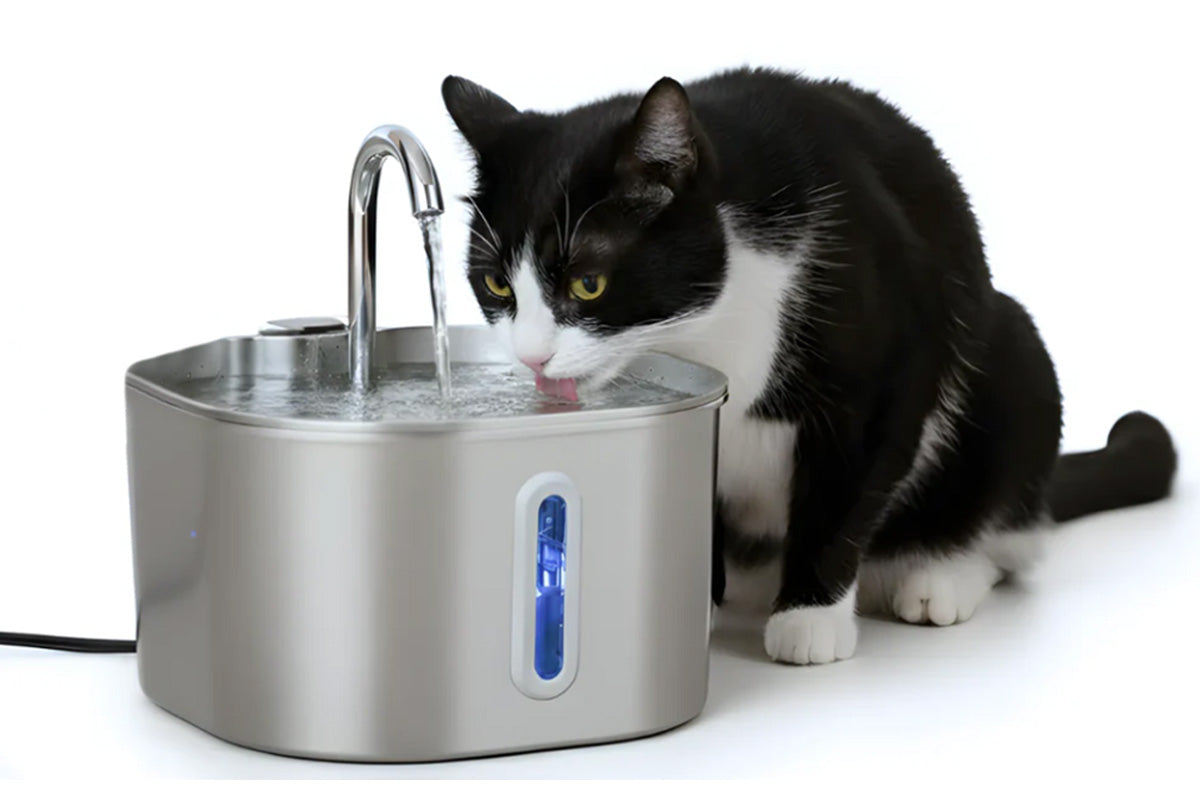 USB 2.2L Stainless Steel Pet Water Fountain - Long Window