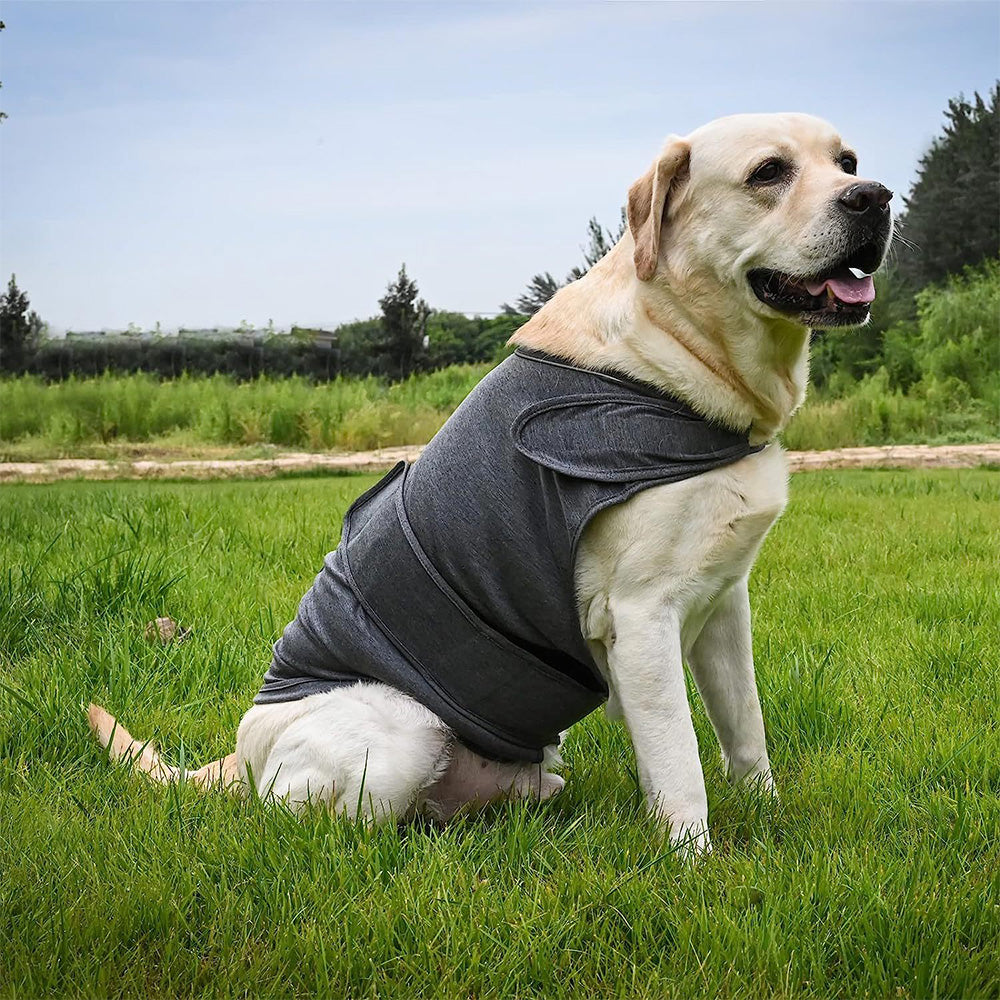 Anxiety Relief Vest for Dogs Adjustable Calming Wrap for Thunderstorms Travel