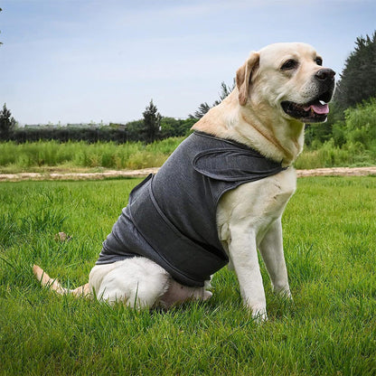 Anxiety Relief Vest for Dogs Adjustable Calming Wrap for Thunderstorms Travel