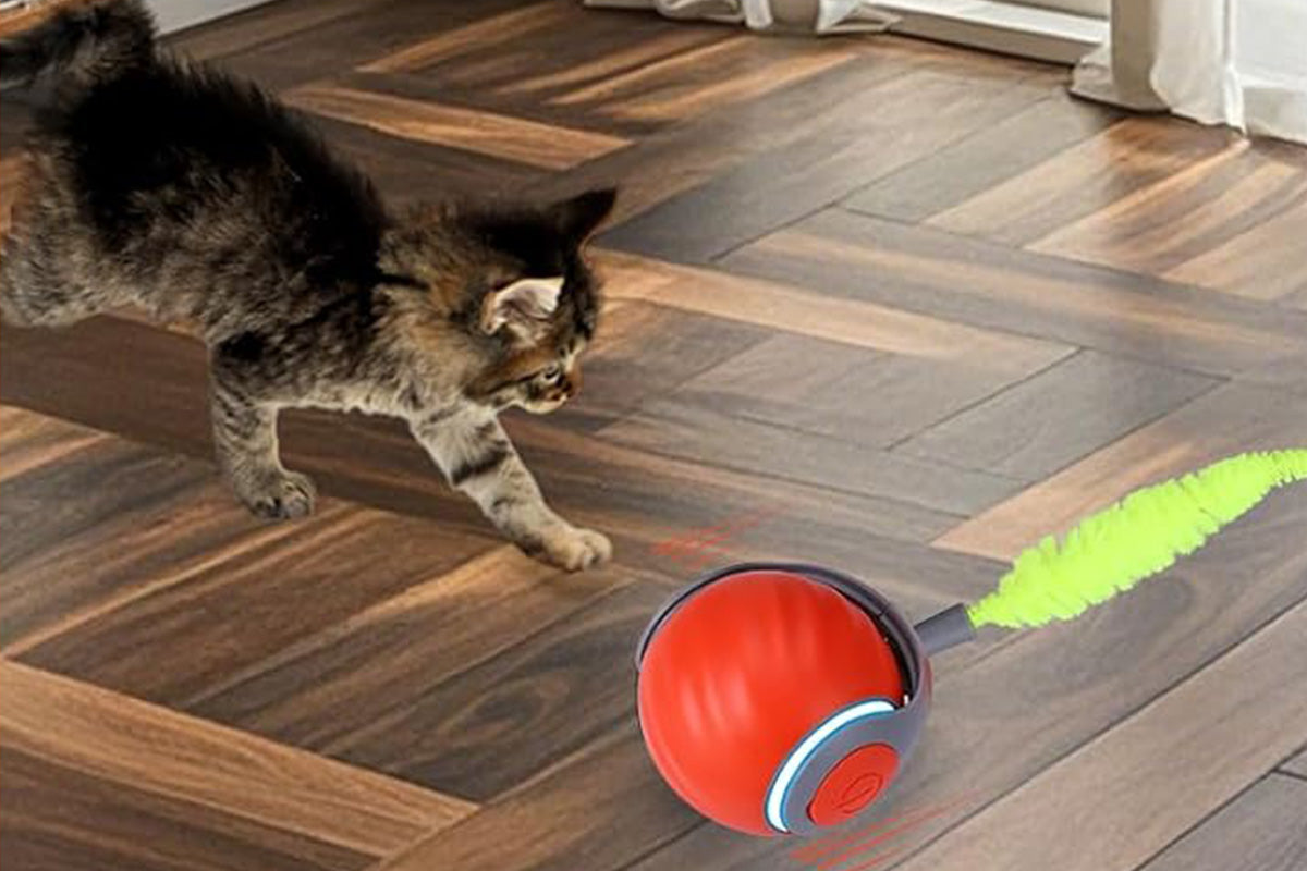Interactive Cat Toy Ball Automatic Cat Toys Indoor Cats with 3 Tails -Orange