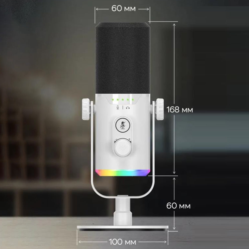 RGB Dynamic Gaming Microphone XLR/USB Interface for PC Streaming Podcast Recording Style 1