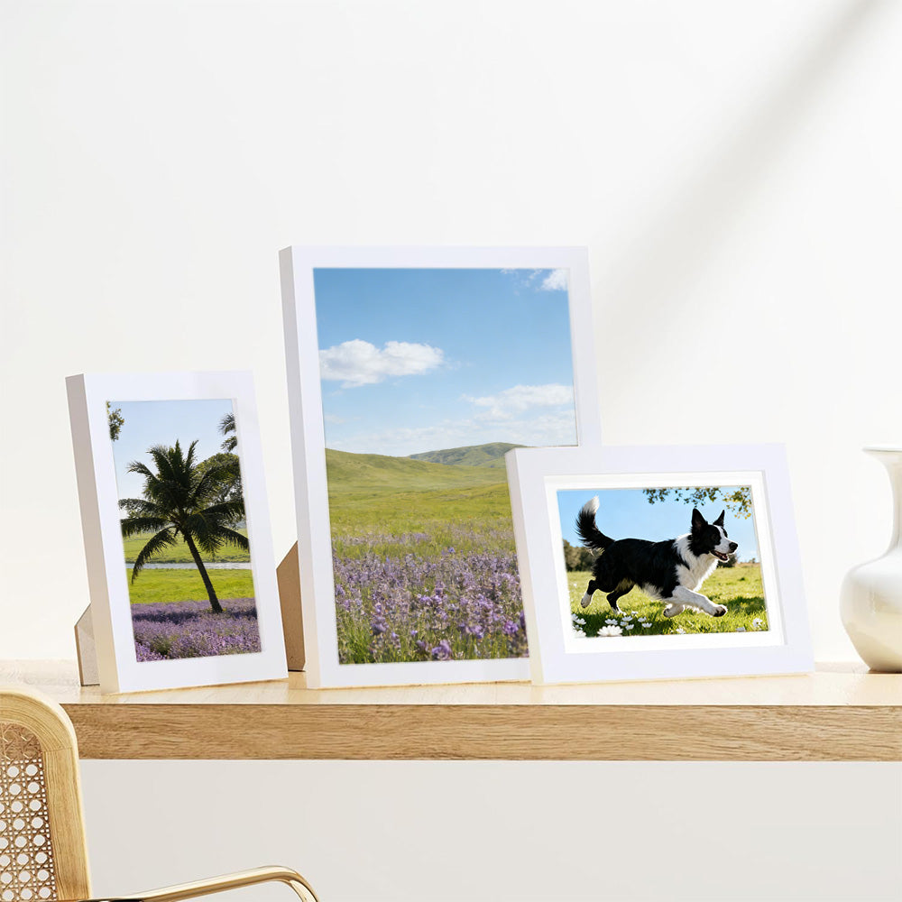 15 Piece Picture Frame Set Multi-size Collage Photo Frames for Wall or Tabletop Display-White