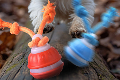 2Pcs USB Rechargeable Rolling Dog Ball Toy Blue and Orange