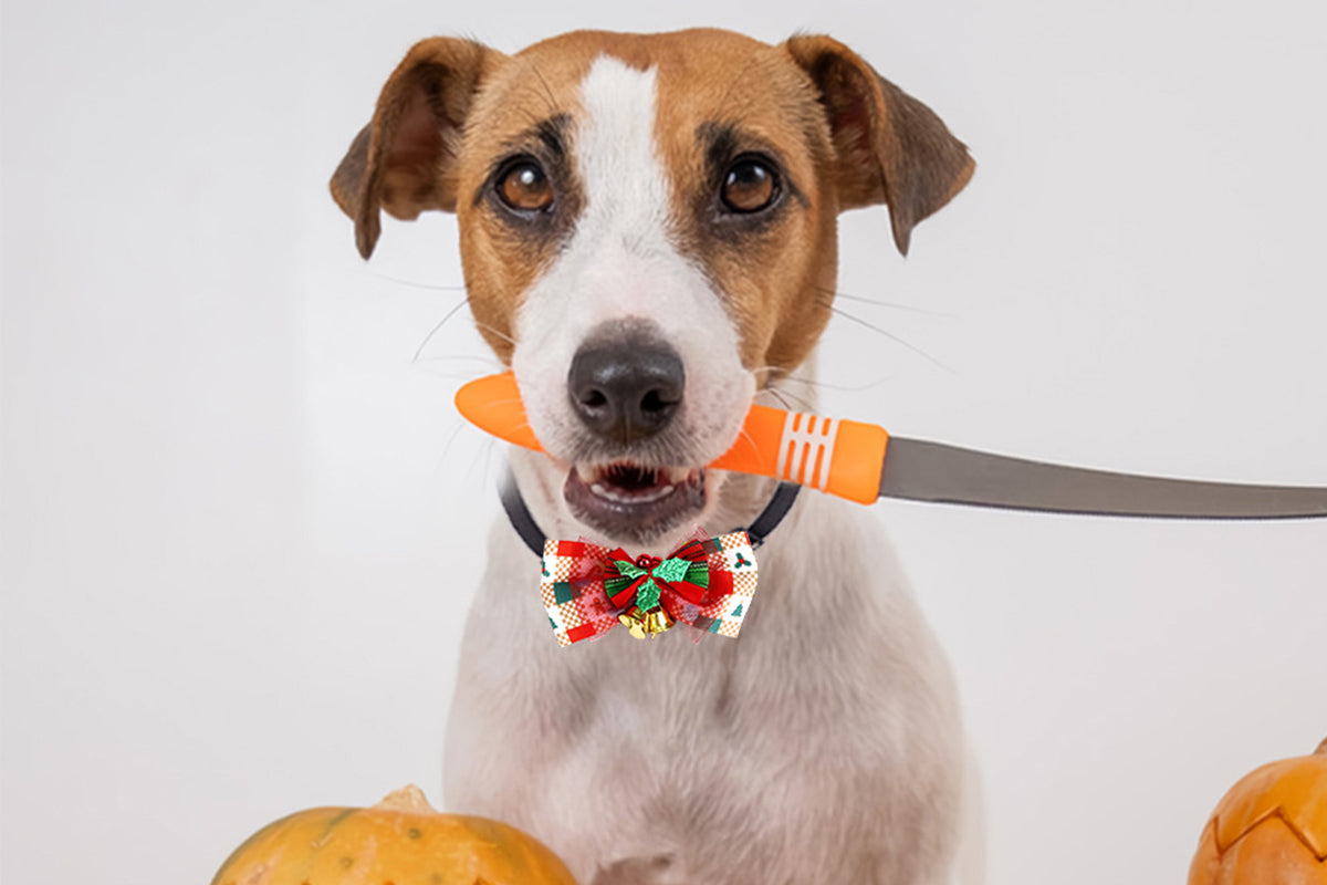 2Pcs Christmas Pet Bow Tie With Bell and Bow Dog Bow Tie Cat Kitten Plaid Collar-Style 2