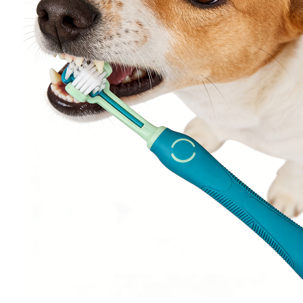 Pet Toothbrush for Dogs and Cats 3 Sided