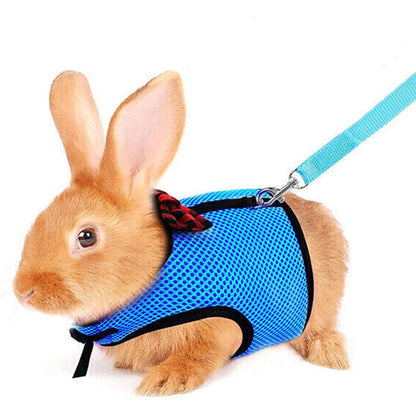 Rabbit Harness and Leash Set for Bunny-Blue