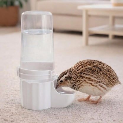 Bird Waterer Automatic Gravity Drinking Fountain with Anti Drowning Tray-White