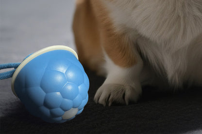 Interactive Dog Toys Touch Activated Bouncing And Jumping Dog Ball -Blue