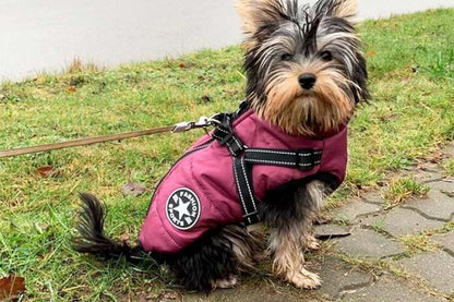 Dog Coat With Harness Winter Waterproof Reflective Warm Dog Coat-Purple