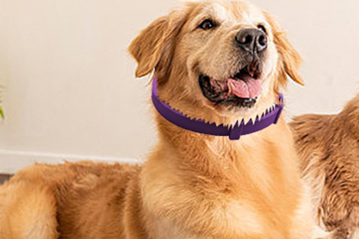 4Pcs Calming Collar for Dogs Dog Pheromone Calm Collars Relief Anxiety-Purple