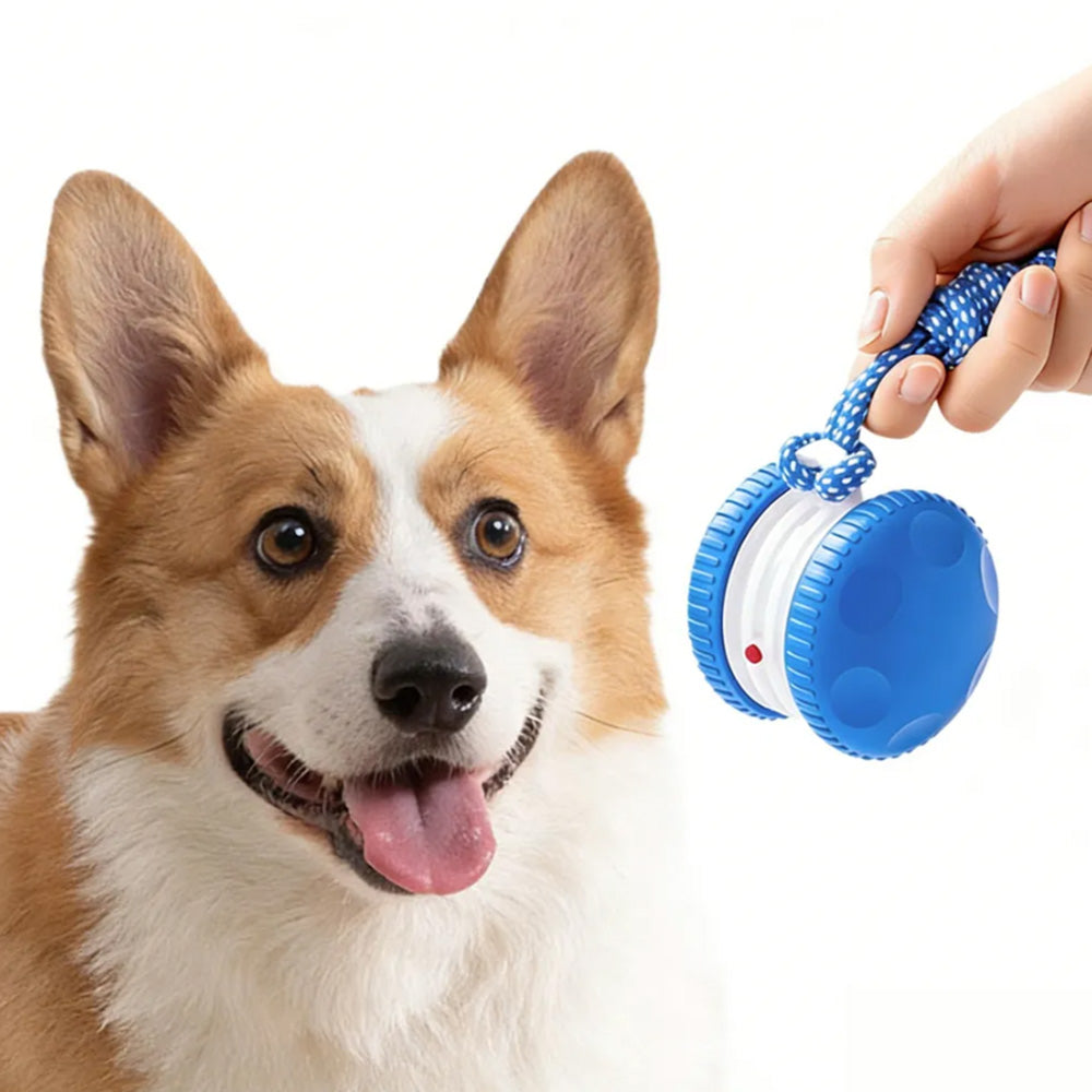 Interactive Pet Rolling Ball Toy Rechargeable Automatic Play Ball for Cats and Dogs-Blue