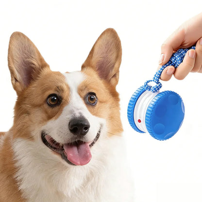 Interactive Pet Rolling Ball Toy Rechargeable Automatic Play Ball for Cats and Dogs-Blue