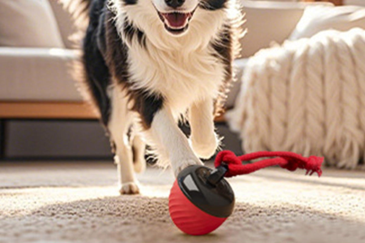 Squeaky Dog Toy Active Rolling Ball Interactive Dog Toys Motion Activated-Red