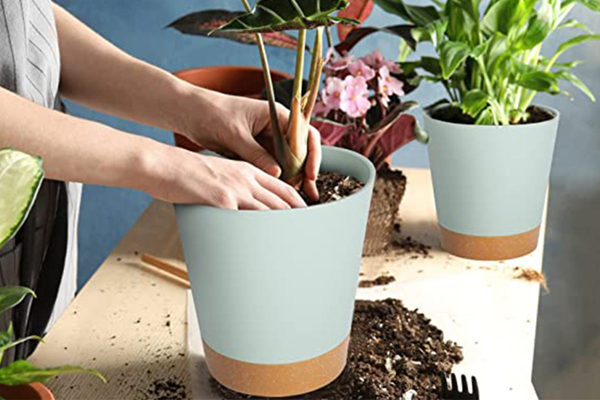 6Pcs Plastic Plant Flower Pots Self Watering Planters Sets-Green
