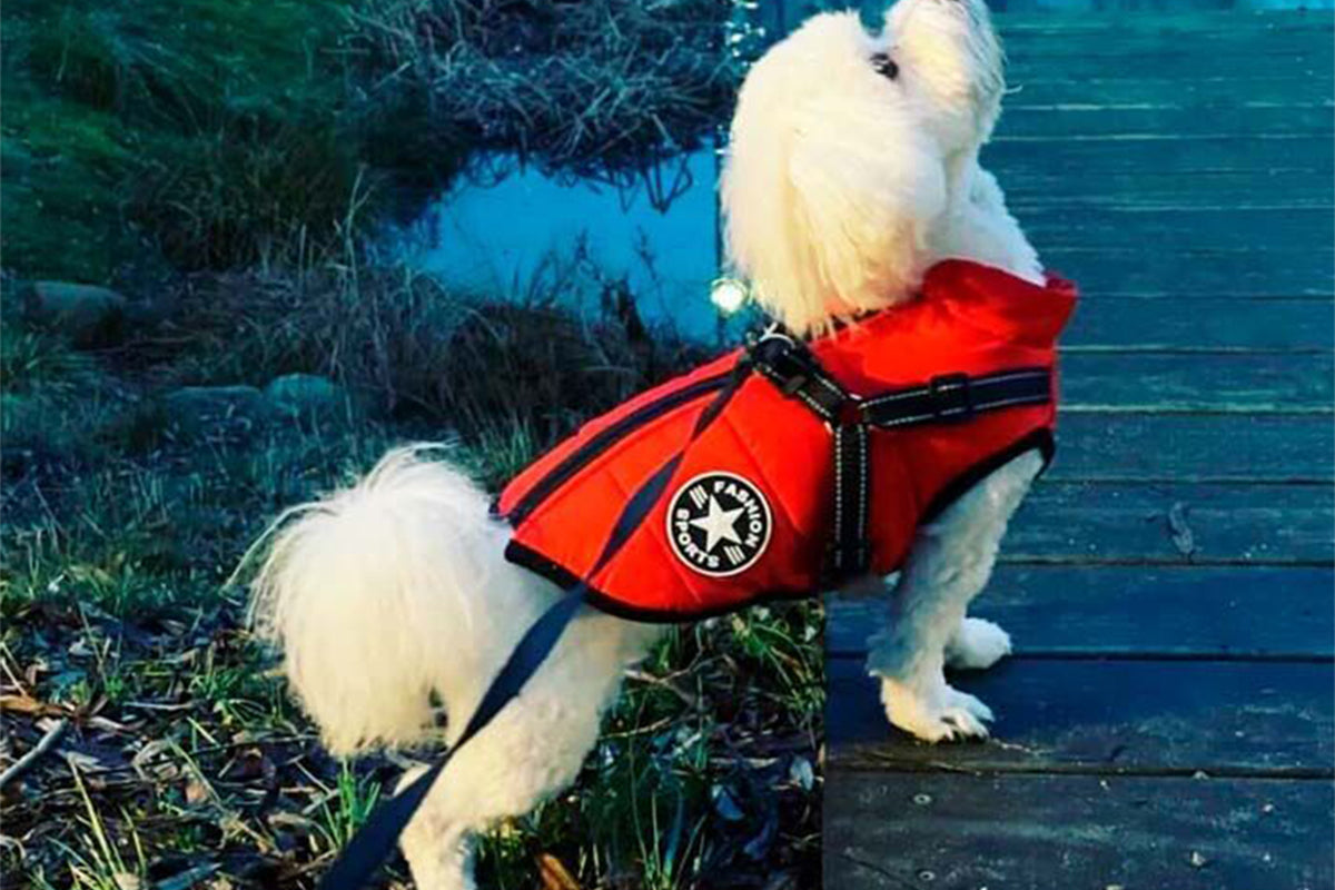 Dog Coat With Harness Winter Waterproof Reflective Warm Dog Coat-Red