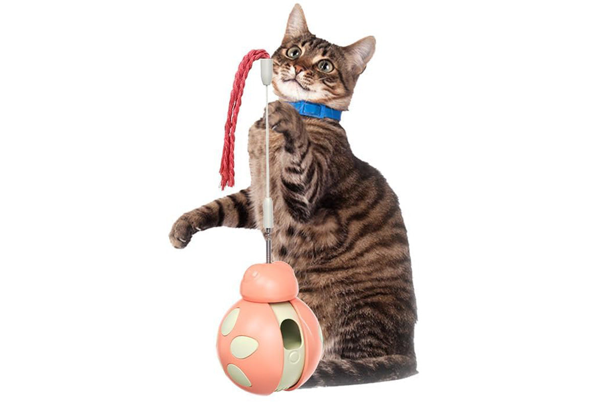 Interactive Cat Toys Tumbler Ladybug with Teaser Wand Cat Treat Dispenser Toy -Pink