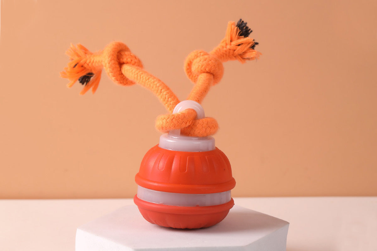 USB Rechargeable Motion Activated Rolling Dog Ball Toy Orange