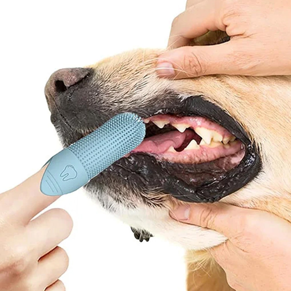 Silicone Pet Finger Toothbrush ¨C Daily Teeth Cleaning for Cats and Dogs Blue
