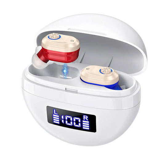 Pair of Invisible Digital Hearing Aids Rechargeable Mini Sound Enhancer Amplifier with Charging Case Style 3