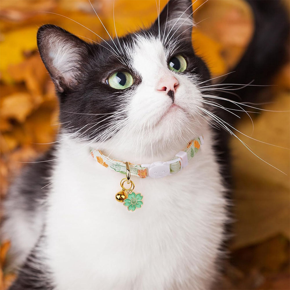 2 Piece Soft Cotton Adjustable Breakaway Cat Collars - Green and Orange