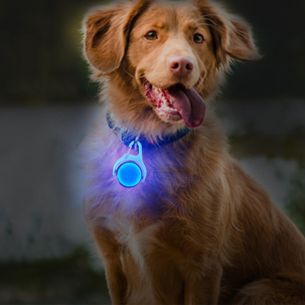 4-Mode Dog Collar Light for Night Walking Rechargeable Pet Collar LED Light Blue