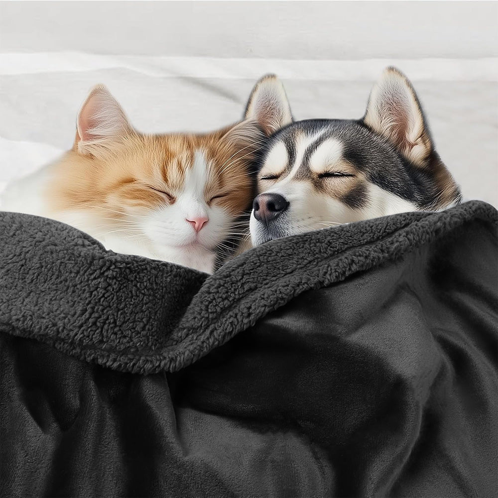 Reversible Pet Blanket Liquid Pee Proof Dog Blanket for Sofa Bed Couch Furniture Protector Cover Black