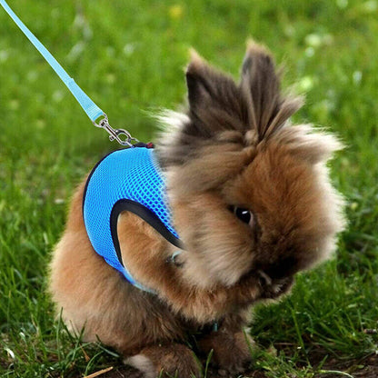 Rabbit Harness and Leash Set for Bunny-Blue