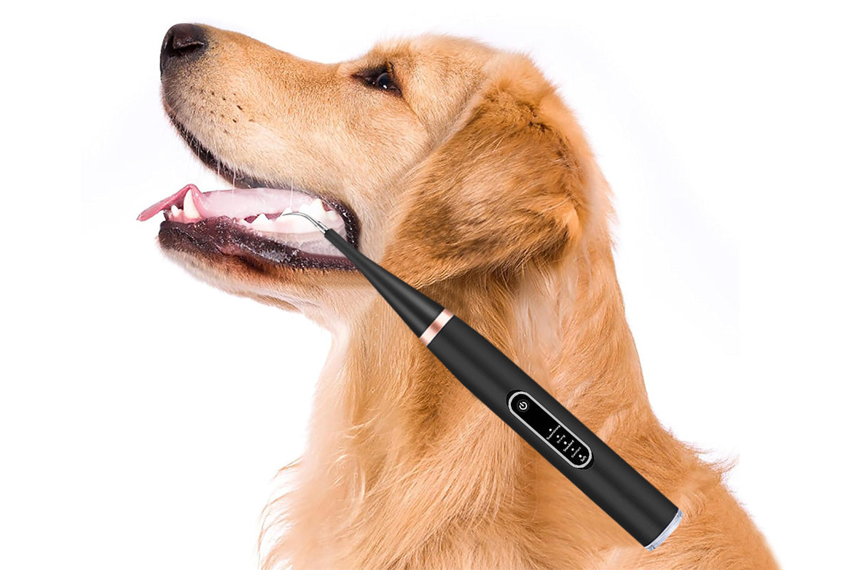 Pet Ultrasonic Tooth Cleaner Dog Plaque Tartar Stain Remover Black